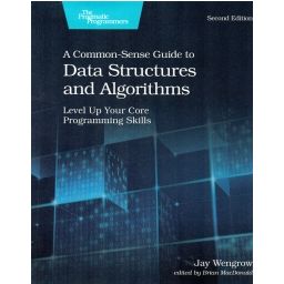 Afbeelding van A common-sense guide to data structures and algorithms
