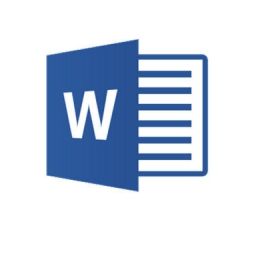 Afbeelding van ECDL : Module 3 : Word 2019