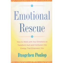 Afbeelding van Emotional rescue