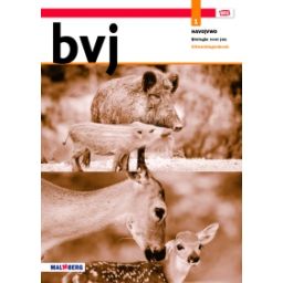 Afbeelding van BVJ 8.1 - MAX - : 1 havo/vwo AB : Uitwerkingenboek