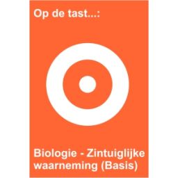 Afbeelding van Op de tast... : Biologie : Zintuiglijke waarneming (Basis)