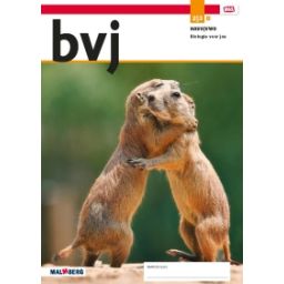 Afbeelding van BVJ 8.2 - MAX - : 2+3 havo/vwo B : Leeropdrachtenboek