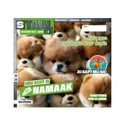 Afbeelding van Staal Taal 2 : Groep 7 : Thema 6 Namaak : Magazine