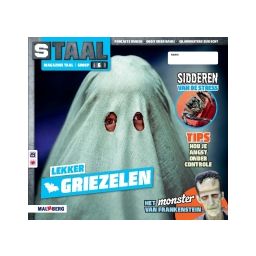Afbeelding van Staal Taal 2 : Groep 6 : Thema 1 Griezelen : Magazine