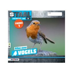 Afbeelding van Staal Taal 2 : Groep 4 : Thema 1+2 Vogels/Kleding : Werkboek