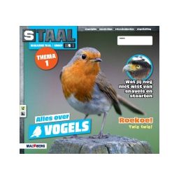 Afbeelding van Staal Taal 2 : Groep 4 : Thema 1 Vogels : Magazine