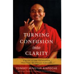 Afbeelding van Turning confusion into clarity