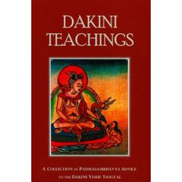 Afbeelding van Dakini teachings