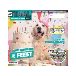 Afbeelding van Staal Taal 2 : Groep 6 : Thema 8 Feest : Magazine