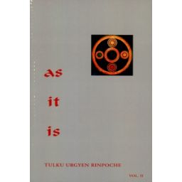 Afbeelding van As it is : Volume II
