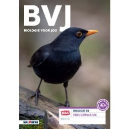 Afbeelding van BVJ 7.0 - MAX - : 5 vwo B : Leeropdrachtenboek