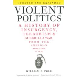 Afbeelding van Violent politics