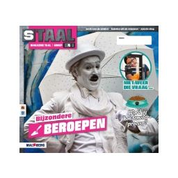 Afbeelding van Staal Taal 2 : Groep 4 : Thema 7 Bijzondere beroepen : Magazine