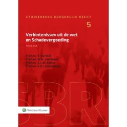 Afbeelding van Verbintenissen uit de wet en schadevergoeding 10e dr