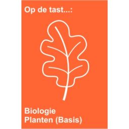 Afbeelding van Op de tast... : Biologie : Planten (Basis)